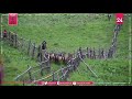 مربو الأيائل الحمراء في كازاخستان يقطعون قرونها لأغراض طبية مربو الأيائل الحمراء في كازاخستان يقطعون قرونها لأغراض طبية