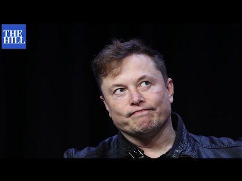 Elon Musk Blasted For Tweeting Adolf Hitler Meme