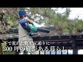 【荒れた広大な庭】冬を越すと毎年荒れる庭を修正していく|田舎暮らし