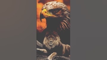 अपनी ऊचांई बढ़ाओ 🤔 | avadh ojha motivation #avadhojhasir #avadhojhasirmotivation #motivation