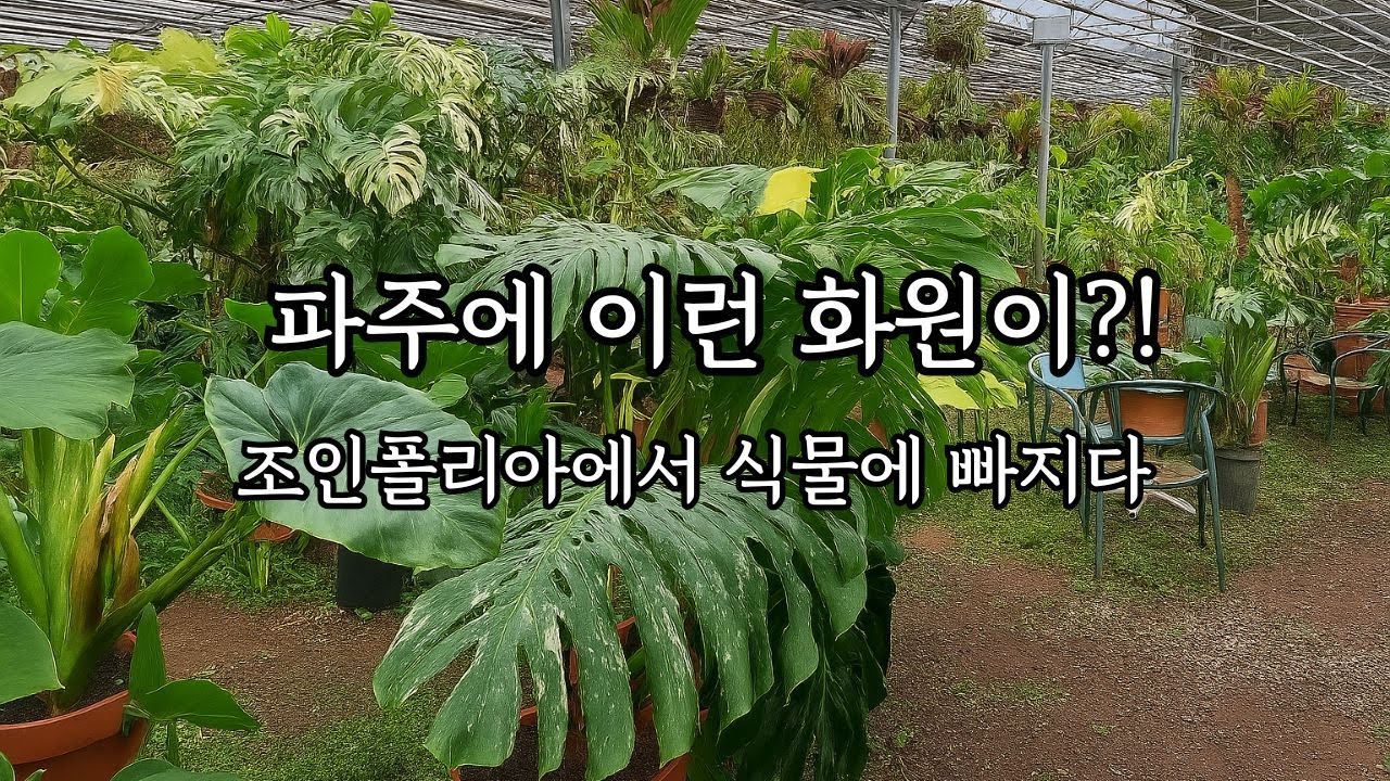 식물 덕후의 천국, 조인폴리아에 다녀왔어요 🌱