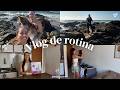 vlog de rotina leve| Cardio na orla, veterinário e mixer novo