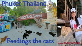 Koh Khai Today - covid-19 No tourist 