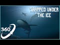 360 video || Trapped Under The Ice || Horror Animation VR 4K