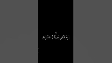 سورة البقره - تلاوة جميلة تخشع لها القلوب بصوت #محمد_الحيدان #ايات_قرانيه_قصيره_ارح_سمعك♡