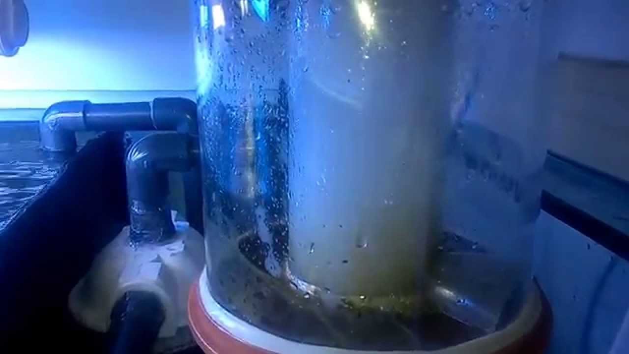 diy protein skimmer pump