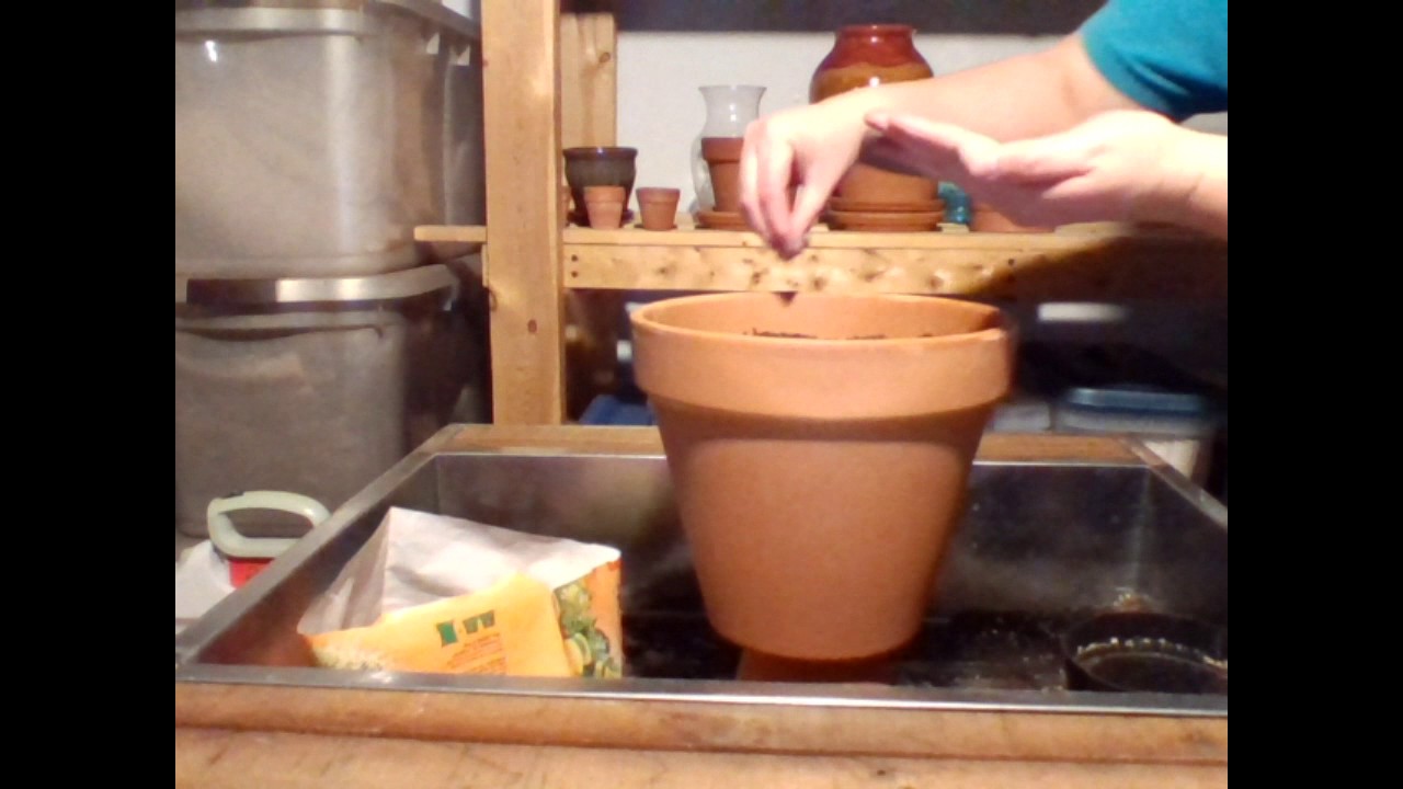 Starting Seeds Indoors - Container Herb Garden - YouTube