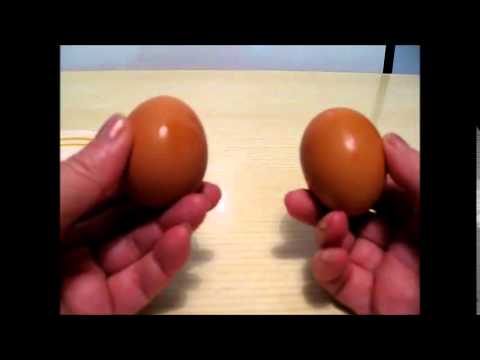 Pro Nyers tojás, főtt tojás