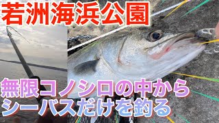若洲海浜公園 人口磯からルアーでシーバスを狙い撃ち Youtube