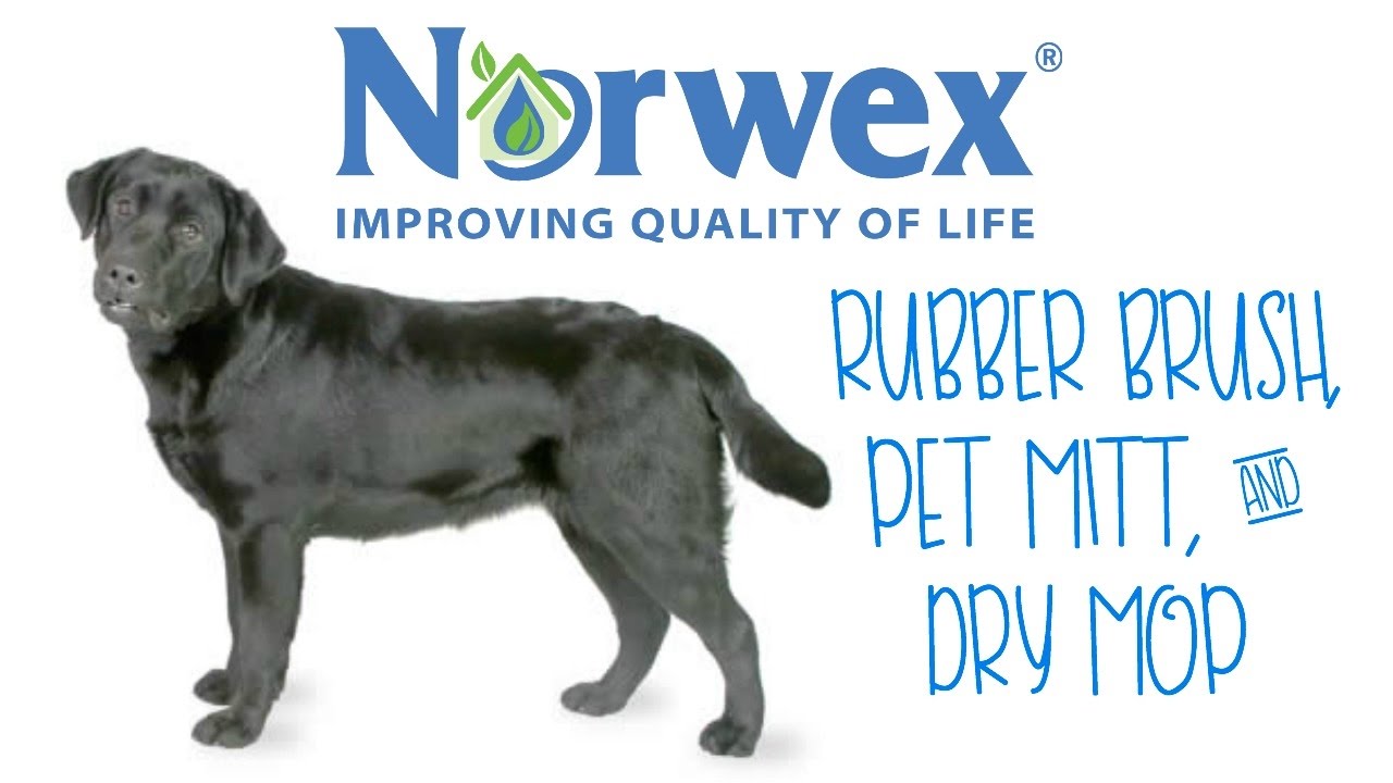 Norwex Rubber Brush, Pet Mitt, & Dry Mop YouTube