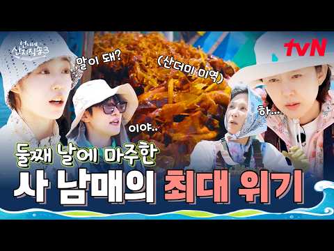 역대급 난이도 조업😲〈<strong>언니네</strong> 산지직송3〉사 남매의 좌충우돌 거제 돌미역 채취 #언니네산지직송3 EP.2 | tvN 260806 방송