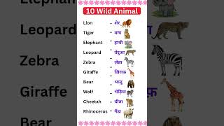 🐯 10 Wild Animal Names 🦁 | Easy for Kids ✨📚
