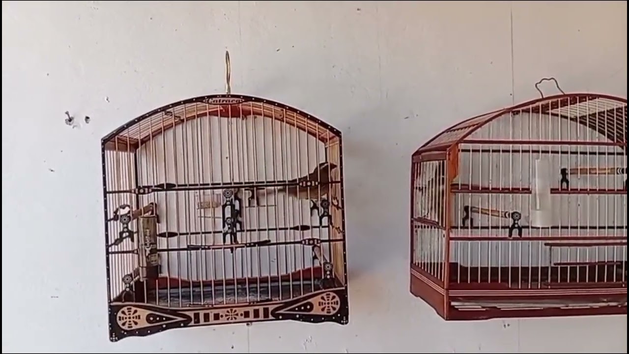 Os TRINCA FERROS lendários dos torneios 🏆