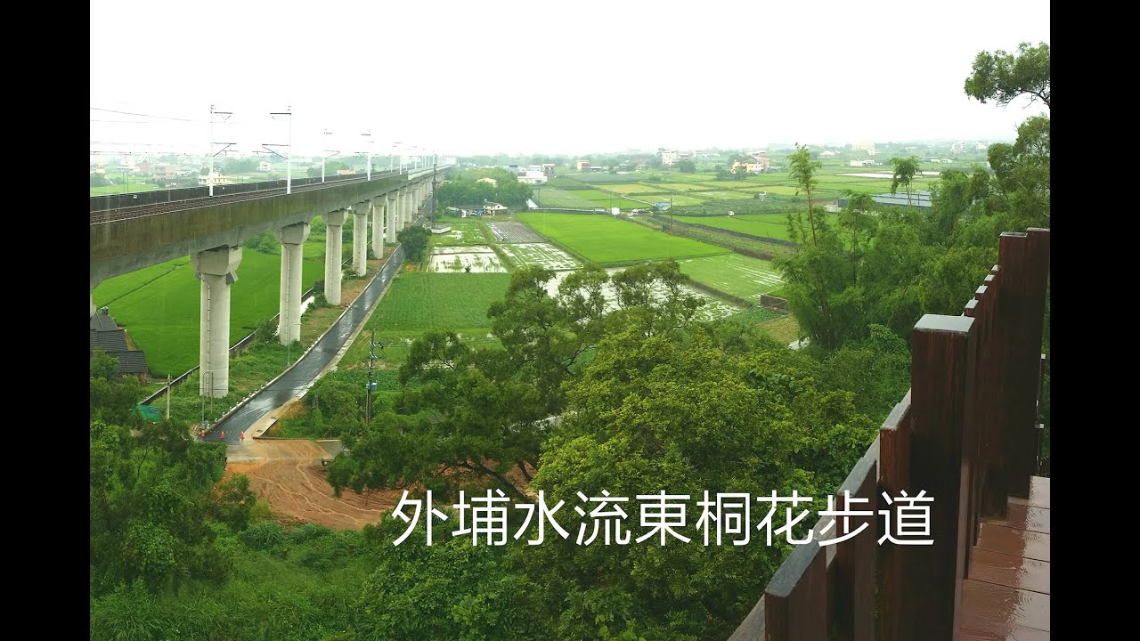 外埔水流東桐花步道 Youtube
