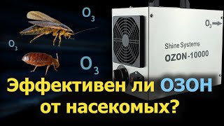 Генератор ОЗОНА против клопов и тараканов — тест