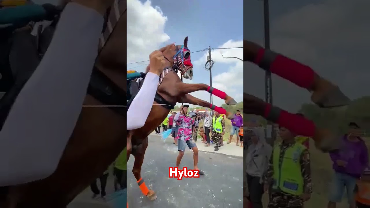 Pesona....Hyloz 😍