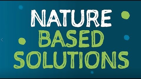 Nature Based Solutions – our vital ally against biodiversity loss and climate change