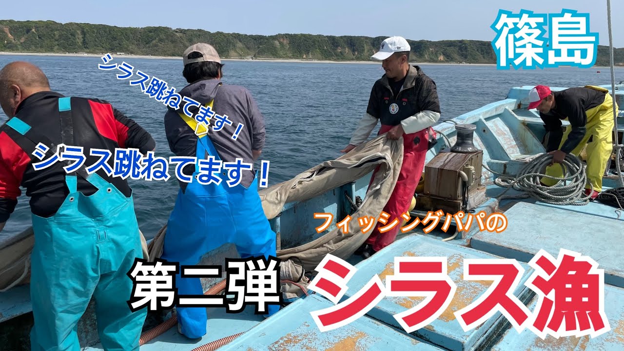 シラス漁　第二弾