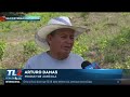 Sequía histórica golpea cultivos de granos básicos en San Vicente. TL2