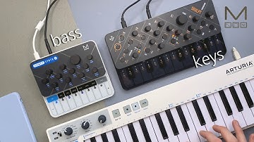 Inverted Envelope Bass - CRAFTsynth 2.0 & SKULPT