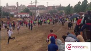 Primer encierro del Toro de la Peña de Tordesillas