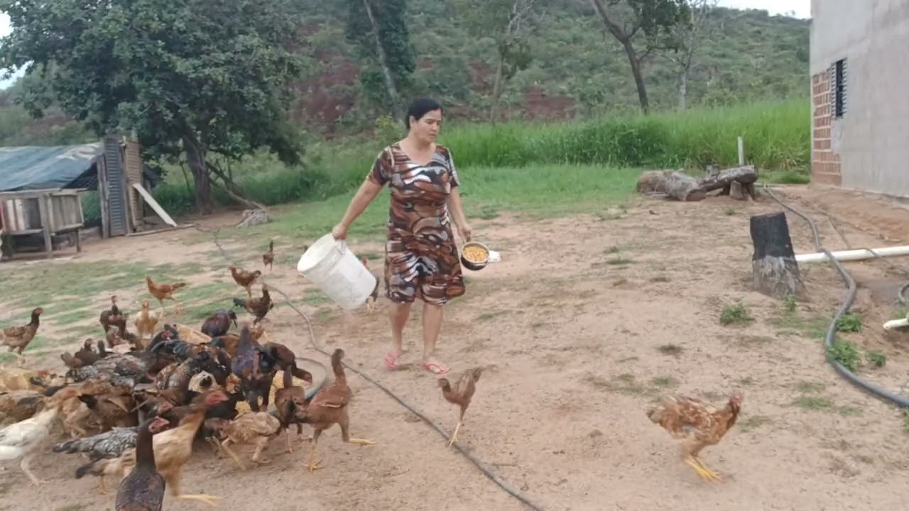 28 de fevereiro de 2026