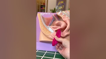 Menstrual Discs Quick Guide and Demo with Ziggy 2 #shorts