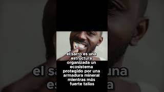 El Error Fatal ¿Estás Destruyendo tus Encías