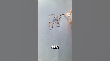 Can You Draw This Pointing Hand? Try! 👉 #foryou #art #shorts #howtodraw #easydrawing #sketch #draw