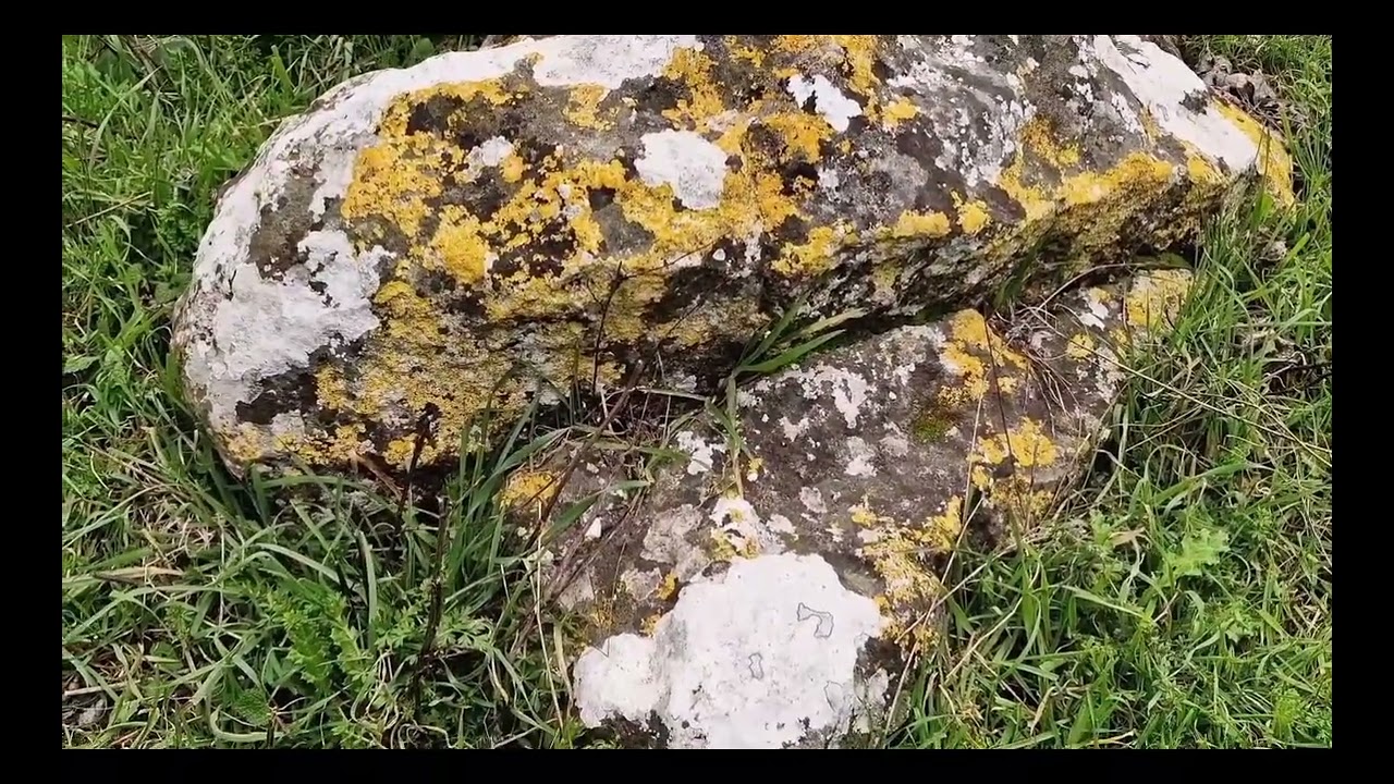 Nature Sounds: Forest Walk for Stress Relief & Healing #naturesounds #watersounds #forest #relax 