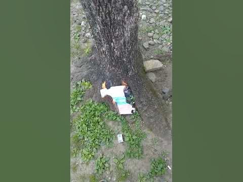 сжигание флага Путинской кровавой власти #свободароссии - YouTube