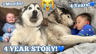 The Full 4 Year Story Of My Husky  Baby Becoming Best Friends WITH MUSIC