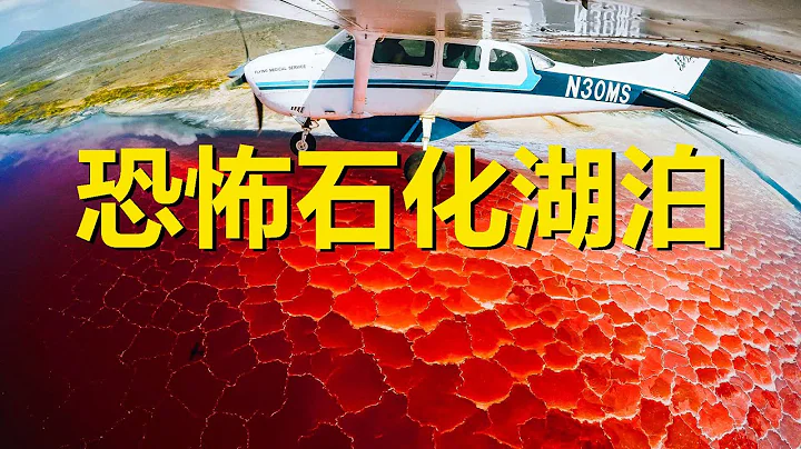 令人毛骨悚然的石化湖泊，鳥類入水會變成化石，坦桑尼亞納特龍湖，Lake Natron，a salt or soda lake in Arusha Region in Tanzania - 天天要聞