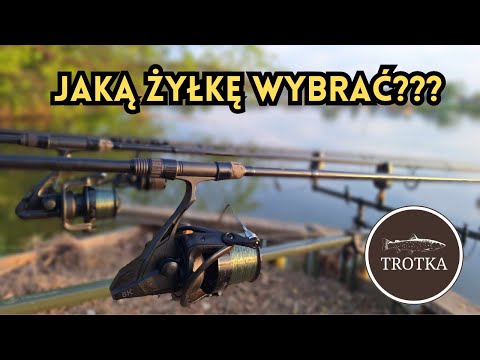 Jaką żyłkę wybrać?
