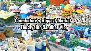 Coimbatore's Biggest Market| Thudiyalur Sandhai Shopping Vlog in Tamil |#coimbatoreshopping