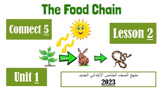 منهج الصف الخامس الجديد 2023 انجليزي كونكت 5 الوحدة الاولي الدرس الثانى سلسلة الغذاء / food chain