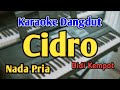CIDRO - KARAOKE || NADA PRIA COWOK || Didi Kempot || Audio HQ || Live Keyboard