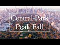 Central Park Peak Fall drone