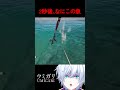【閲覧注意】2秒後、海で奇妙すぎる魚にガチ叫びます。（チラズアート）