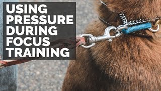 Using Pressure During Focus Training