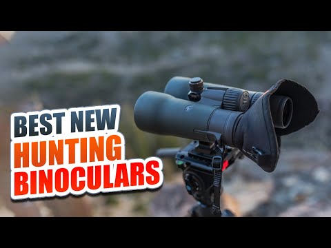 Best Binoculars for
