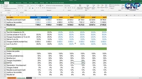 Modèle Financier automatisé Excel & Analyse financière (Cours complet) 