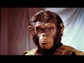 War for the planet of the apes  1950s super panavision 70