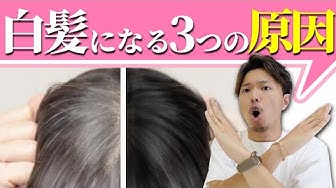 白髪改善 Youtube