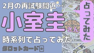 小室圭さん時系列で占ってみた【タロット探偵】【占い】