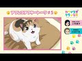 TVã‚¢ãƒ‹ãƒ¡ã€Œã‚«ãƒ¯ã‚¤ã‚¹ã‚®ã‚¯ãƒ©ã‚¤ã‚·ã‚¹ã€ã‚¢ãƒ•ãƒ¬ã‚³ã‚¢ãƒ•ã‚¿ãƒ¼ãƒˆãƒ¼ã‚¯#5