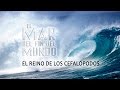 El Mar del Fin del Mundo, Cap. 1: El Reino de los cefalópodos (Español)