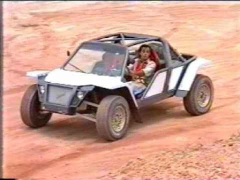 cheetah buggy