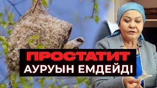 Құрқылтай ұясымен ПРОСТАТИТ емдеуге болады | Табиғаттың сыйы | 3-бөлім