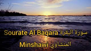 Video Download